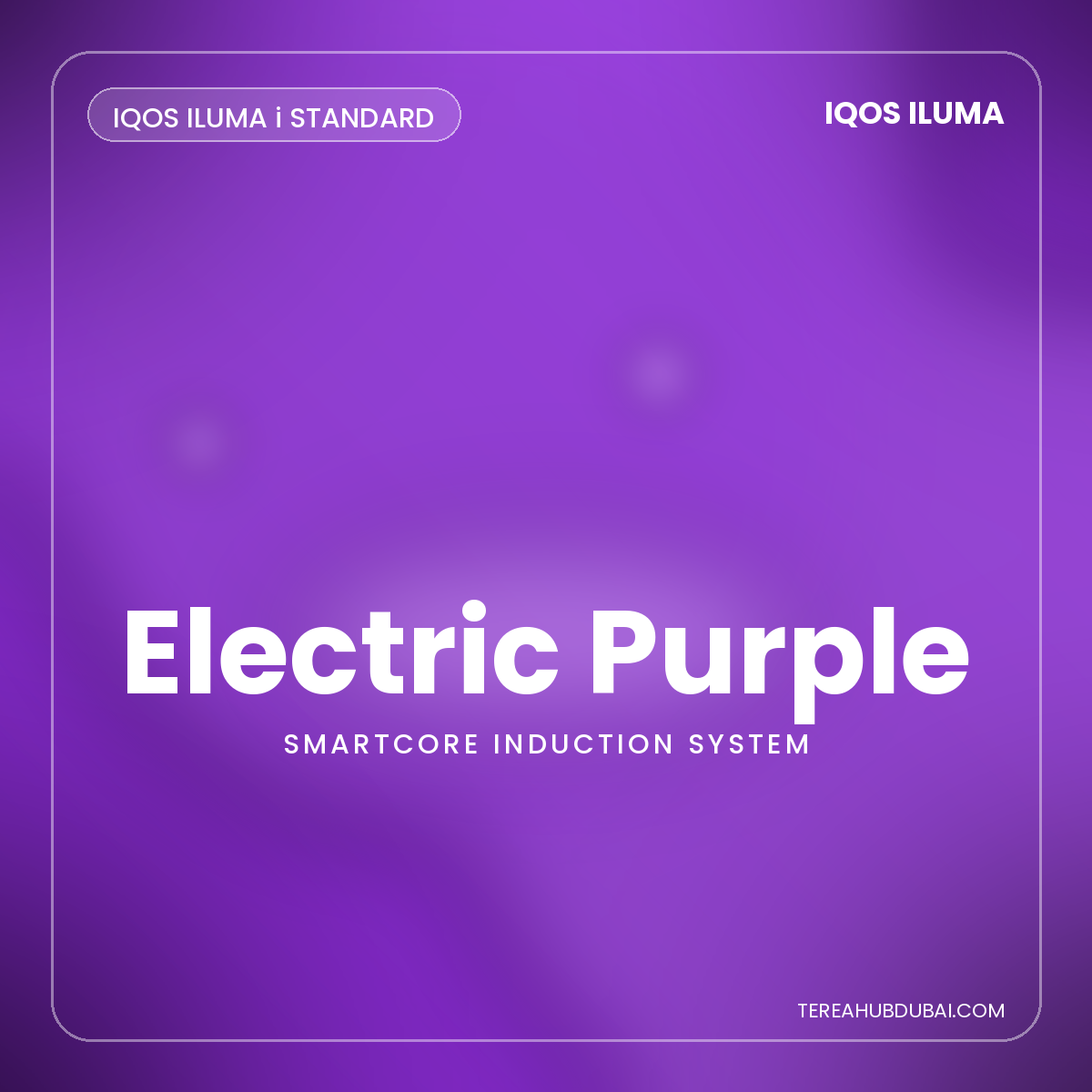 IQOS ILUMA i STANDARD Electric Purple device - Terea Hub Dubai