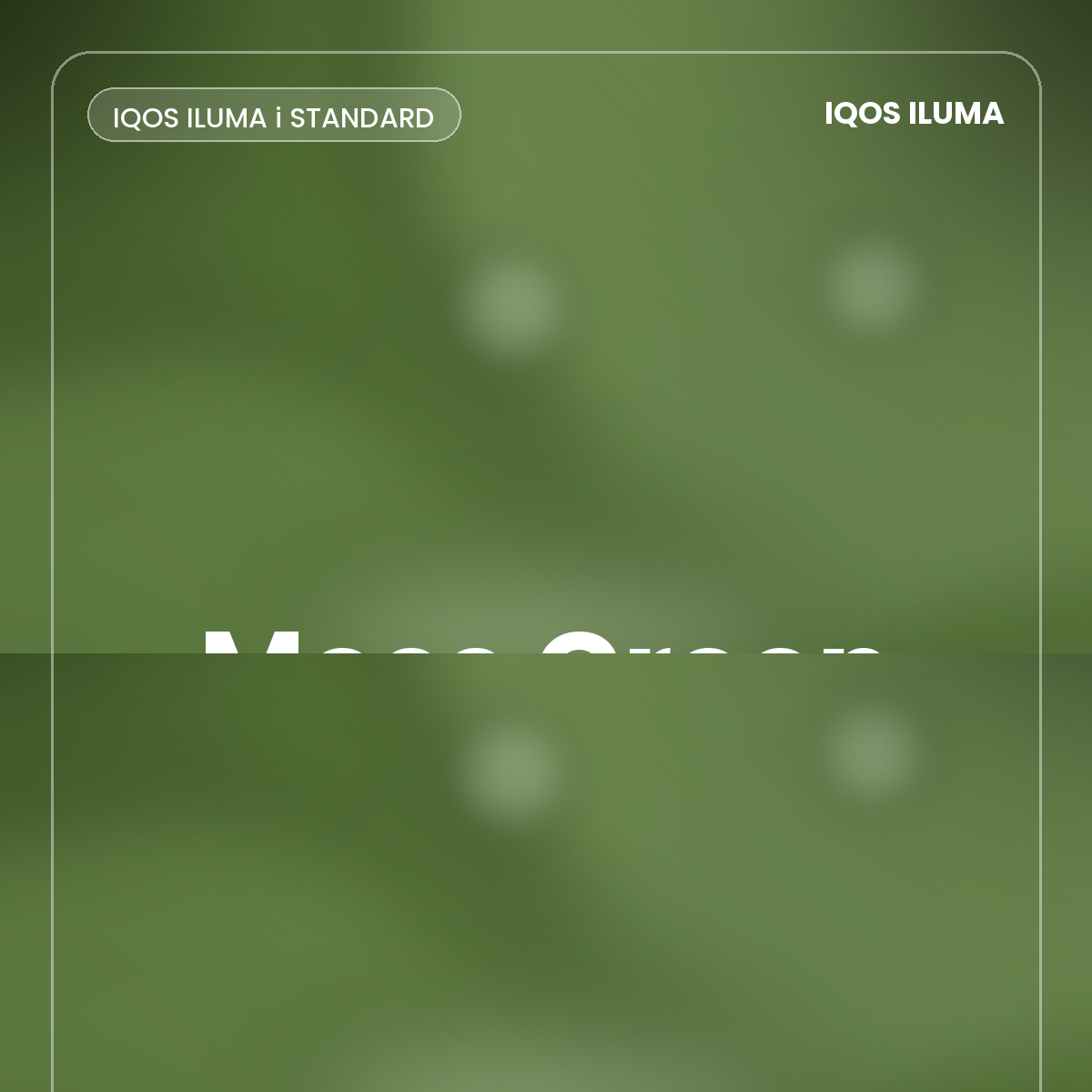 IQOS ILUMA i STANDARD Moss Green device - Terea Hub Dubai