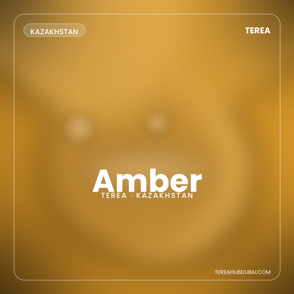 Terea Amber Kazakhstan pack - Terea Hub Dubai