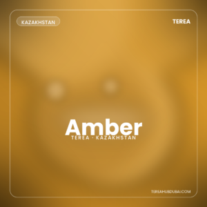 Terea Amber Kazakhstan pack - Terea Hub Dubai