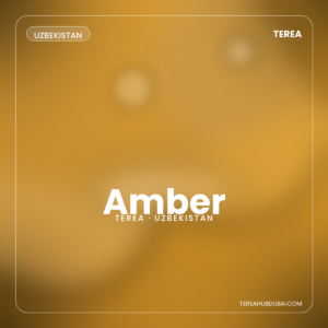 Terea Amber Uzbekistan pack - Terea Hub Dubai