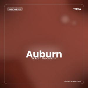 Terea Auburn Indonesia pack - Terea Hub Dubai