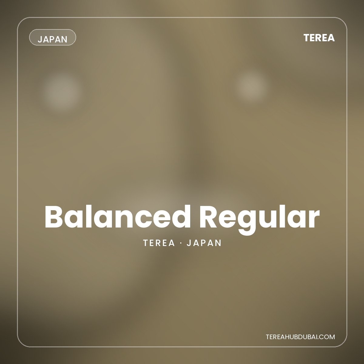 Terea Balanced Regular Japan pack - Terea Hub Dubai