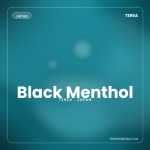 Terea Black Menthol Japan pack - Terea Hub Dubai