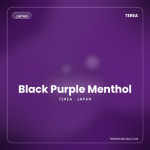 Terea Black Purple Menthol Japan pack - Terea Hub Dubai