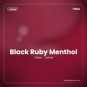Terea Black Ruby Menthol Japan pack - Terea Hub Dubai