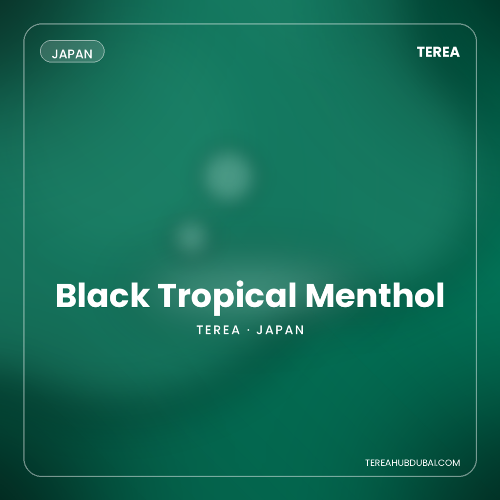 Terea Black Tropical Menthol Japan pack - Terea Hub Dubai