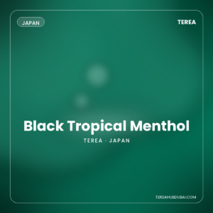 Terea Black Tropical Menthol Japan pack - Terea Hub Dubai