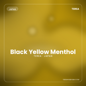 Terea Black Yellow Menthol Japan pack - Terea Hub Dubai