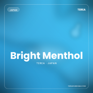 Terea Bright Menthol Japan pack - Terea Hub Dubai