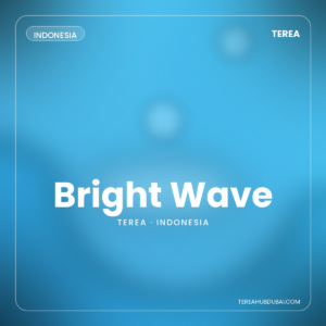 Terea Bright Wave Indonesia pack - Terea Hub Dubai