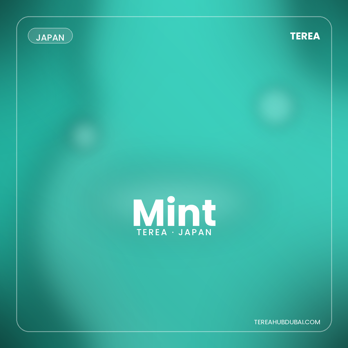 Terea Mint Japan pack - Terea Hub Dubai