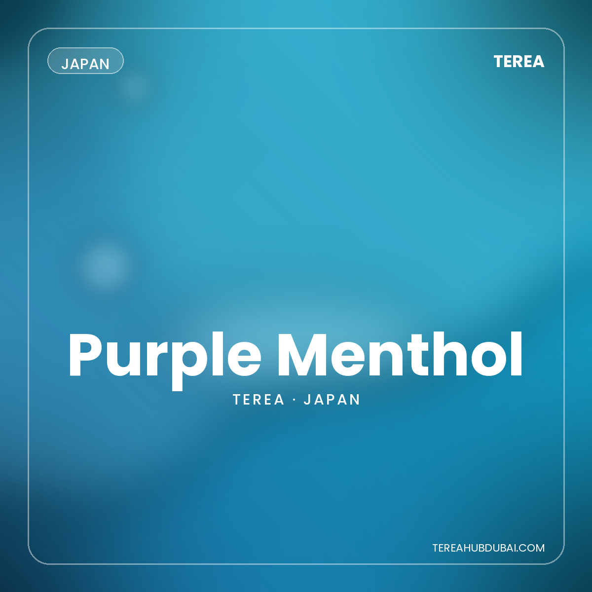 Terea Purple Menthol Japan pack - Terea Hub Dubai