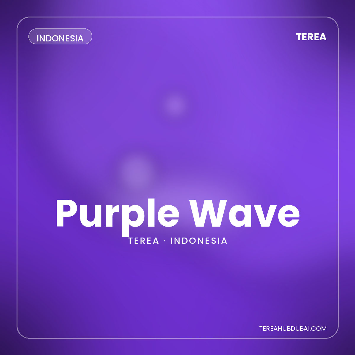 Terea Purple Wave Indonesia pack - Terea Hub Dubai