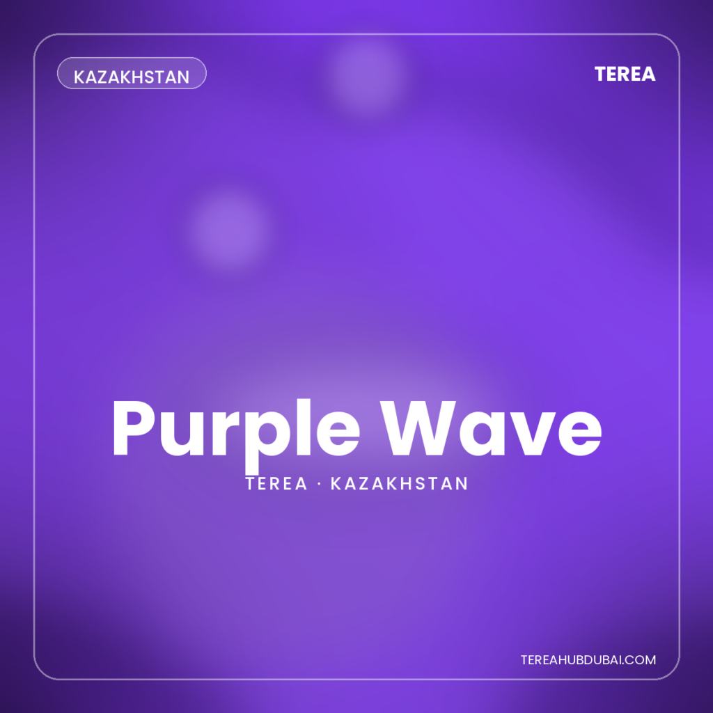 Terea Purple Wave Kazakhstan pack - Terea Hub Dubai