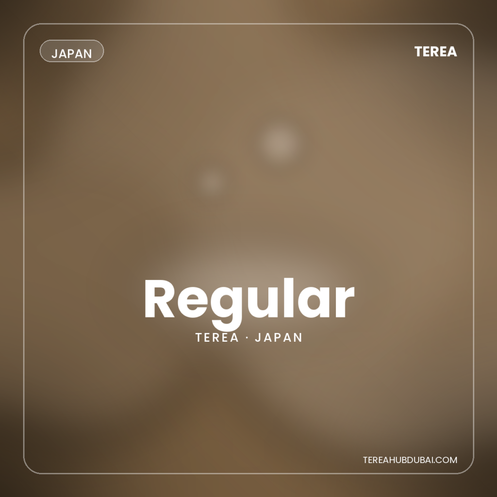 Terea Regular Japan pack - Terea Hub Dubai