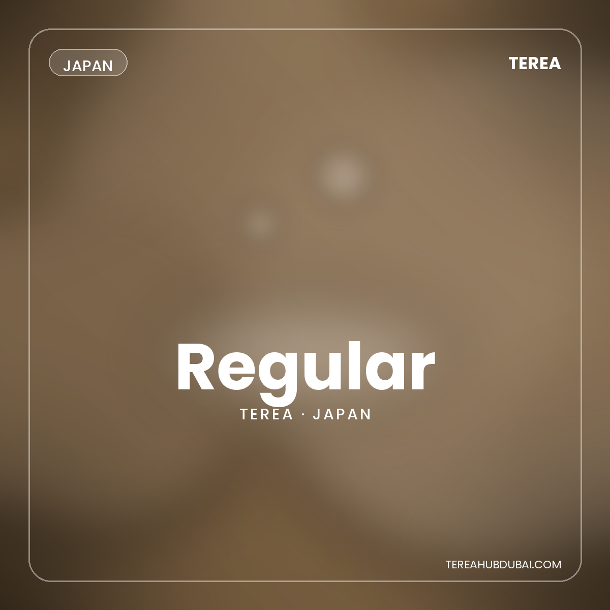 Terea Regular Japan pack - Terea Hub Dubai