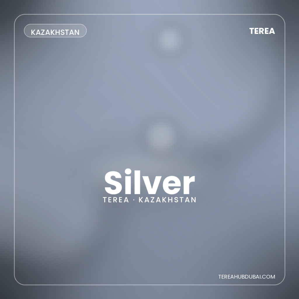 Terea Silver Kazakhstan pack - Terea Hub Dubai