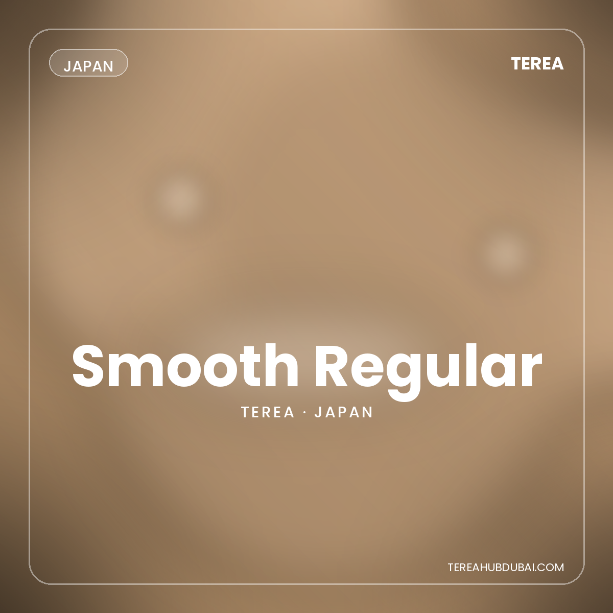 Terea Smooth Regular Japan pack - Terea Hub Dubai
