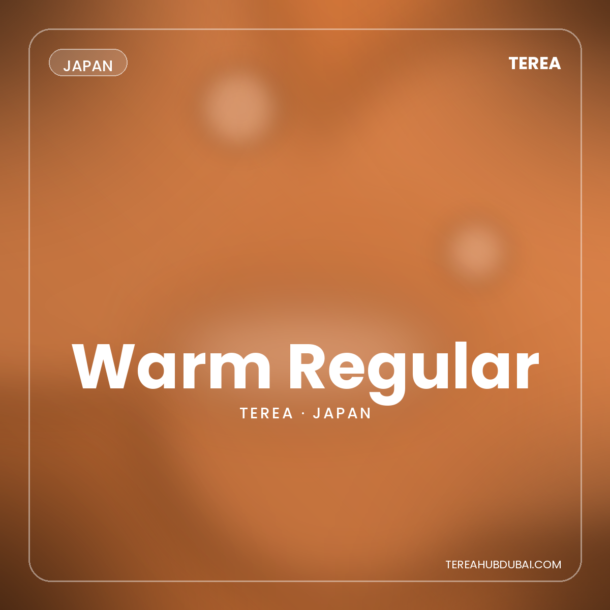 Terea Warm Regular Japan pack - Terea Hub Dubai