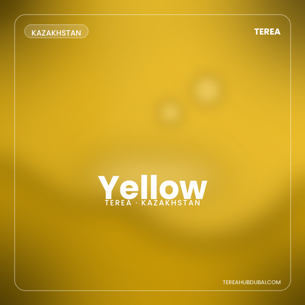 Terea Yellow Kazakhstan pack - Terea Hub Dubai